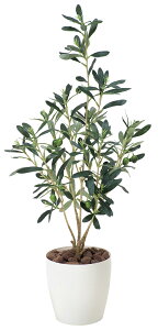 I[u G} lHϗtA  Ɩp { ItBX X  tFCN O[ A tA^Cv O[V[Y i` bNX  L R h A[gO