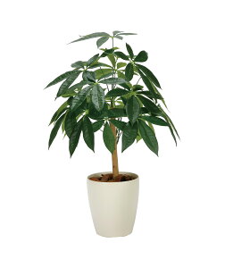 pL[tc[72cm G} lHϗtA  Ɩp { ItBX X  tFCN O[ A tA^Cv O[V[Y i` bNX  L R 