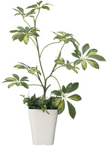 tFt lHϗtA  G} Ɩp { ItBX X   tFCN O[ A e[u^Cv O[V[Y i` bNX  L R h 