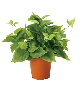 C|gX lHϗtA  G} Ɩp { ItBX X   tFCN O[ A e[u^Cv O[V[Y i` bNX  L R h