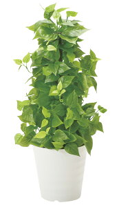 lHϗtA |[C|gX 82cm tFCNO[ G} L R h  ItBX X Ɩp CeAO[  A ϗtA e[u^Cv ^ lC O