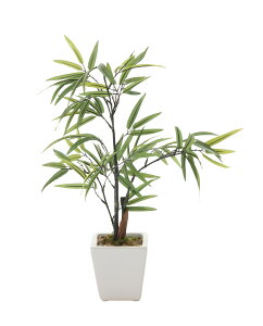 | lHϗtA  G} Ɩp { ItBX X   tFCN O[ A e[u^Cv O[V[Y i` bNX  L R h A[g