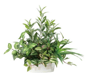 񂹐AI[u lHϗtA  G} Ɩp { ItBX X   tFCN O[ A e[u^Cv O[V[Y i` bNX  L R