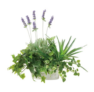 񂹐Ax_[ lHϗtA  G} Ɩp { ItBX X   tFCN O[ A e[u^Cv O[V[Y i` bNX  L R