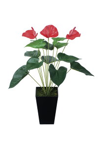 AX[ lHϗtA  G} Ɩp { ItBX X   tFCN O[ A e[u^Cv O[V[Y i` bNX  L R 