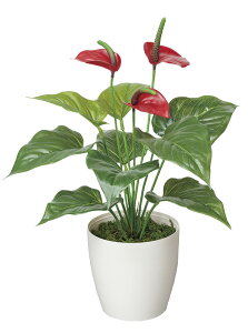 lHϗtA tbVAX[ e[u^Cv G}  tFCNO[ A[gO[  L R h Xܑ Ɩp ItBX {  i`O[ 