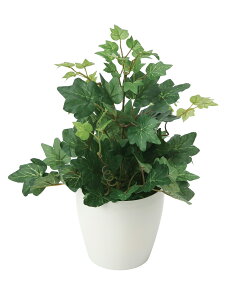 wfACr[ lHϗtA  G} Ɩp { ItBX X   tFCN O[ A e[u^Cv O[V[Y i` bNX  L R 