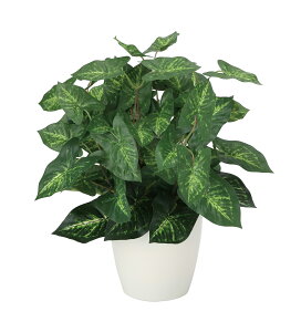 JW[M lHϗtA  G} Ɩp { ItBX X   tFCN O[ A e[u^Cv O[V[Y i` bNX  L R h