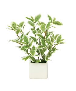 ~j[tG/W lHϗtA  G} Ɩp { ItBX X   tFCN O[ A e[u^Cv O[V[Y i` bNX  L R h