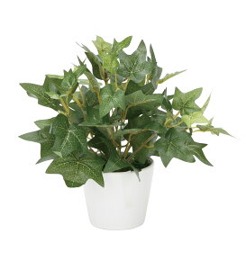 ACr?S lHϗtA  G} Ɩp { ItBX X   tFCN O[ A e[u^Cv O[V[Y i` bNX  L R h A