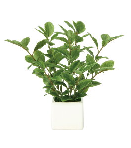 ~j[t lHϗtA  G} Ɩp { ItBX X   tFCN O[ A e[u^Cv O[V[Y i` bNX  L R h 