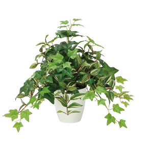 ~bNXACr[ lHϗtA  G} Ɩp { ItBX X   tFCN O[ A e[u^Cv O[V[Y i` bNX  L R