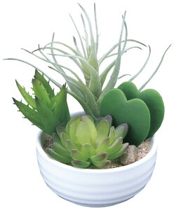 lHϗtA 񂹐Au[ | e[u^Cv G} tFCNO[ A[gO[ L R h  Xܑ ItBX { Ɩp i` O[ Rp