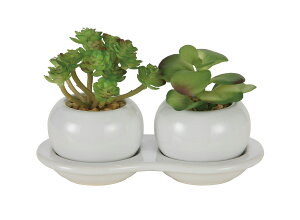 _u|bgBi|j lHϗtA  G} Ɩp { ItBX X   tFCN O[ A e[u^Cv O[V[Y i` bNX 