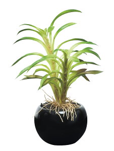 JN^XC|bgi|j lHϗtA  G} Ɩp { ItBX X   tFCN O[ A e[u^Cv O[V[Y i` bNX 