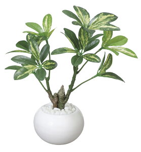 VFt|bg G} lHϗtA  tFCNO[ A[gO[  ^ e[u^Cv O[CeA  Xܑ ItBX  bNX i` L