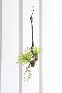 GA?vcWi|j lHϗtA  G} Ɩp { ItBX X   tFCN O[ A Ǌ|^Cv O[V[Y i` bNX  