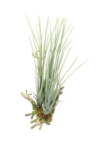 GA?vcLi|j lHϗtA  G} Ɩp { ItBX X   tFCN O[ A Ǌ|^Cv O[V[Y i` bNX  