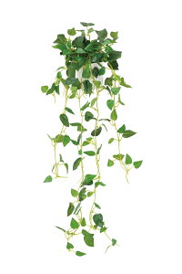 Ǌ|tB lHϗtA  G} Ɩp { ItBX X   tFCN O[ A  Ǌ|^Cv O[V[Y i` bNX  L R h 