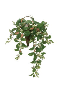 Ǌ|c[gz lHϗtA  G} Ɩp { ItBX X   tFCN O[ A  Ǌ|^Cv O[V[Y i` bNX  L R