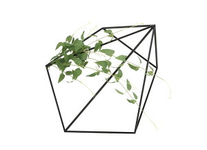 ǖʗΉLE\E lHϗtA  G} Ɩp { ItBX X   tFCN O[ A  ǖʗΉ O[V[Y i` bNX  L R 