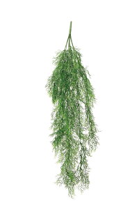 EC[OXoC lHϗtA  G} Ɩp { ItBX X   tFCN O[ A  ǖʗΉ O[V[Y i` bNX  L R 