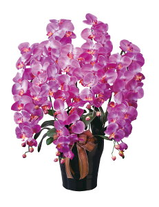 CӒ5{L G}  tFCNO[ lHϗtA A[gt[ t[AWg ̓ Mtg 蕨 v[g  sv CeA hV̓  