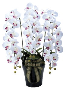 ロイヤル胡蝶蘭W/AB 光触媒 造花 フェイクグリーン 人工観葉植物 アートフラワー フラワーアレンジメント 消臭 抗菌 おしゃれ お手入れ不要 インテリアグリーン 室内装飾 プレゼント ギフト