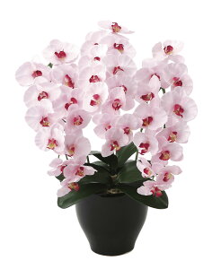 v~AӒP G}  tFCNO[ lHϗtA A[gt[ t[AWg ̓ Mtg 蕨 v[g  sv CeA hV̓  J