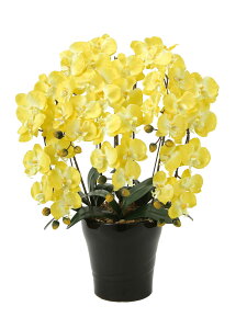 NC[Ӓ5{Y G}  tFCNO[ lHϗtA A[gt[ t[AWg ̓ Mtg 蕨 v[g  sv CeA hV̓  