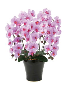 NC[Ӓ 5{L G} tFCNO[  lHϗtA j JXj Mtg 蕨 v[g  CeA   A[gt[ hV̓  