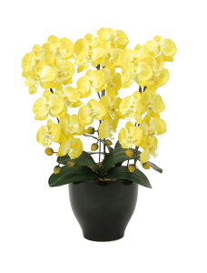 胡蝶蘭 セリースY 光触媒 造花 フェイクグリーン アートフラワー 人工観葉植物 陶器鉢付 インテリア おしゃれ ギフト プレゼント 開店祝い 新築祝い 誕生日 母の日 敬老の日 お供え 室内装飾