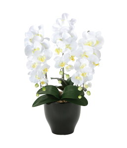 ӒZ[XW G}  tFCNO[ A[gt[ lHϗtA t[AWg  L R  hV̓ ̓ Mtg JXj j  Ce