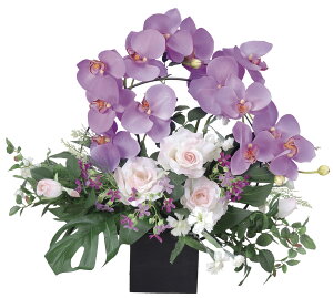 tFCNO[ G}  A[gt[ tA[Y AWg lHϗtA  CeA G Mtg v[g    JXj hV̓ ̓ a 