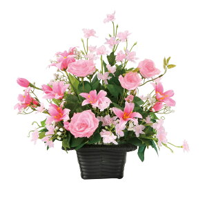 tA[Y nbs[sN G} tFCNt[  A[gt[ t[AWg CeA  Mtg v[g 蕨 ̓ hV̓ JXj aj j