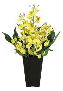 IVW[ G}  tFCNO[ lHϗtA A[gt[ t[AWg ̓ Mtg 蕨 v[g  sv CeA hV̓ JXj j