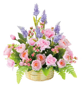 Aj[ G}  tFCNO[ lHϗtA A[gt[ t[AWg ̓ Mtg 蕨 v[g  sv hV̓ JXj Vzj j a 