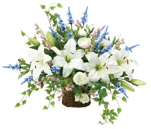 Ǌ|JTuJ G}  tFCNO[ lHϗtA A[gt[ t[AWg  sv CeA j C G  Ǌ|^Cv  O 