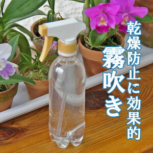 楽天市場 水やりがとっても簡単 楽しくなりそう 水やり３種の神器 細如雨露 蓮口 霧吹き St ペットボトルにつけるだけで ランや植物の水やりや保水が簡単に店長がお勧め便利なエコアイテム 洋ラン資材 森水木のラン屋さん