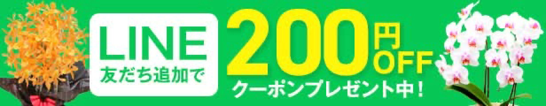 森水木のラン屋さんLINEお友達追加をしたら200円OFF