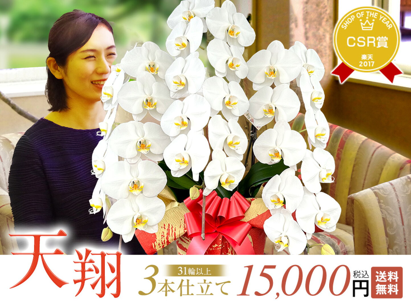 楽天市場 | 森水木のラン屋さん - 胡蝶蘭・洋蘭を贈答やお供えに／栽培