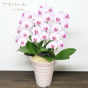 Ӓ v[g jw~fBӒ 3{u\Cvxm a җj  ~ ފ ފ  ~jӒ MtgR`EJXj JƏj Ԕ  Ay