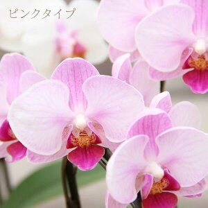 Ӓ v[g jw~fBӒ 3{u\Cvxm a җj  ~ ފ ފ  ~jӒ MtgR`EJXj JƏj Ԕ  Ay