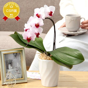 ԐFIׂ~fBӒ1{ w~fBӒu|vx av[g R`E v[g GR Ԍt͍Kł  Ԕ ԁshtyz