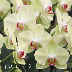 Ӓ v[g jw~fBӒ 3{u\Cvxm a җj  ~ ފ ފ  ~jӒ MtgR`EJXj JƏj Ԕ  Ay