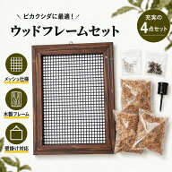 ビカクシダ（コウモリラン）用資材 『着生植物用 ウッドフレーム「板付け4点セット」』【材】(背面付きフ…