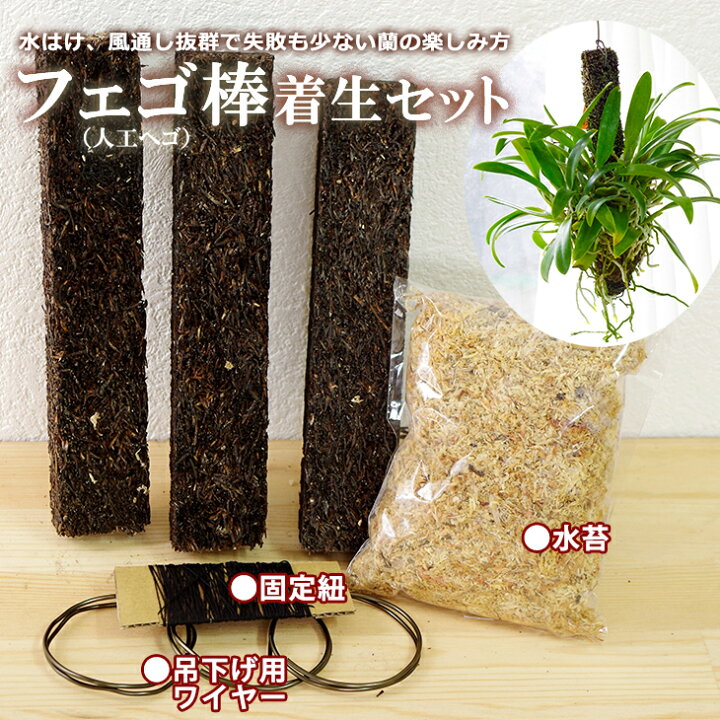 楽天市場】洋蘭栽培プロ用資材 『「フェゴ棒 着生セット」(フェゴ棒 3 
