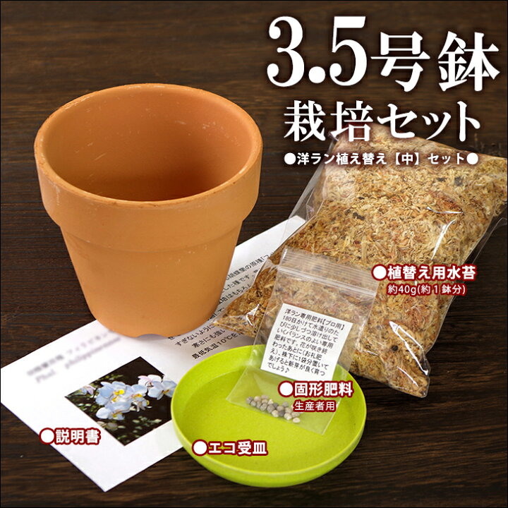 楽天市場 洋蘭栽培プロ用資材 洋ラン植え替え 中 大セット 素焼き鉢3 5号 水苔 肥料 受け皿 St 洋ラン資材スタンダードなデザインのシンプルなテラコッタポット 洋蘭栽培に一番最適な鉢はやっぱり素焼鉢 植え替え用に是非 植木鉢 鉢植え 深型 森水木の