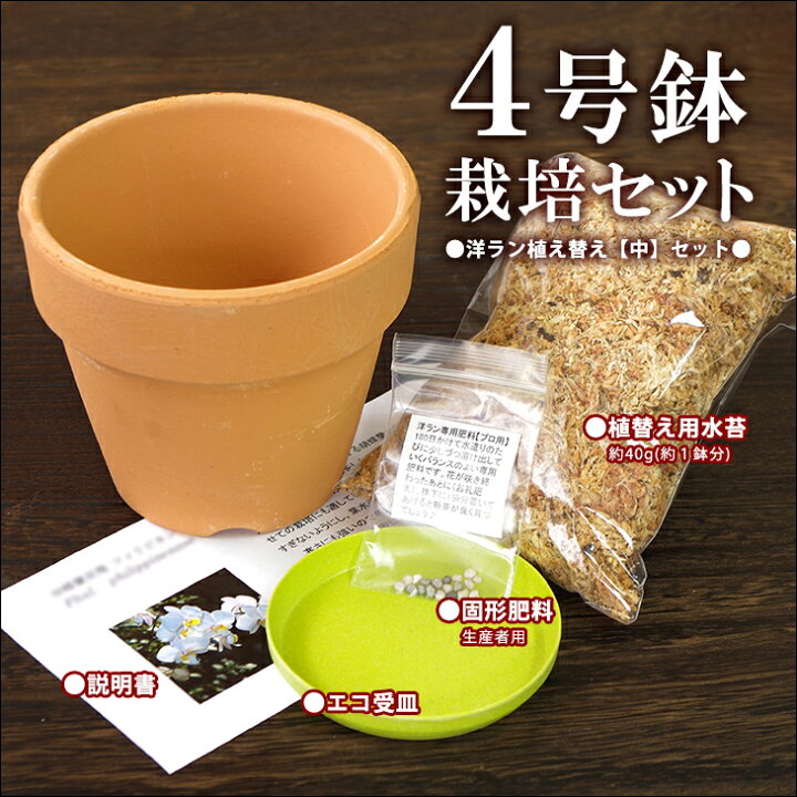 楽天市場 洋蘭栽培プロ用資材 洋ラン植え替え 大セット 素焼き鉢4号 水苔 肥料 受け皿 St 洋ラン資材スタンダードなデザインのシンプルなテラコッタポット 洋蘭栽培に一番最適な鉢はやっぱり素焼鉢 植え替え用に是非 植木鉢 鉢植え 深型 森水木のラン屋さん