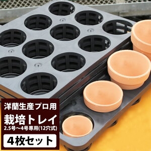 m͔|vpށwYҗp͔|ugC12 4ZbgvxyށzTCYF32×43cmꂽqĺuA킯Ă炦܂Hvn܂Ԕ_Ƃ֗̕ObYm